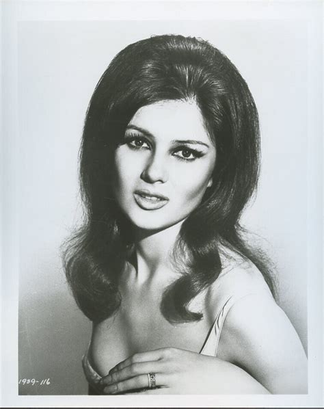 Pamela Tiffin Vintage 1970s 8x10 Photo 1170 Ebay