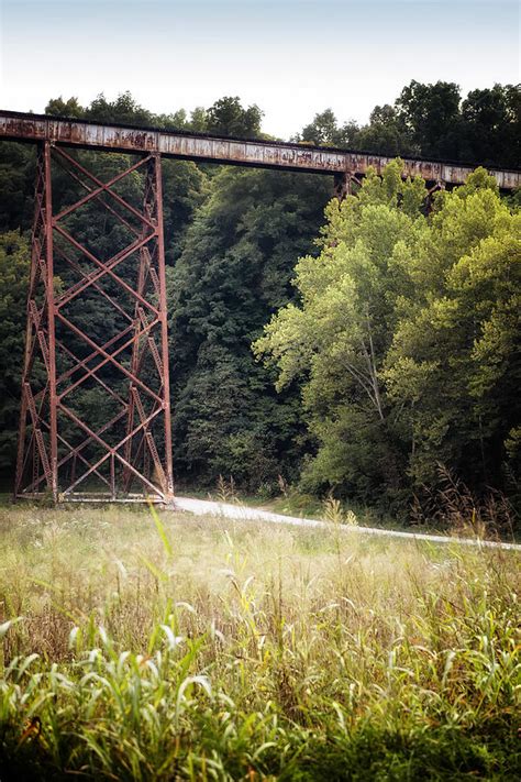 Tulip Trestle 1 Photograph by Paula Barrickman - Fine Art America