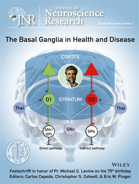 Basal Ganglia Problems