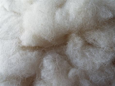 Navajo-churro Sheep Wool Roving White 6 Ounces - Etsy