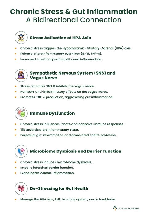 Treating Gut Inflammation: Role of Stress and How to Manage It