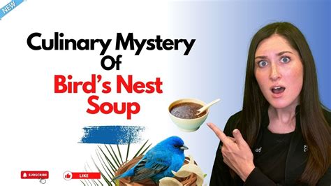 From Sky To Table Unraveling The Culinary Mystery Of Birds Nest Soup