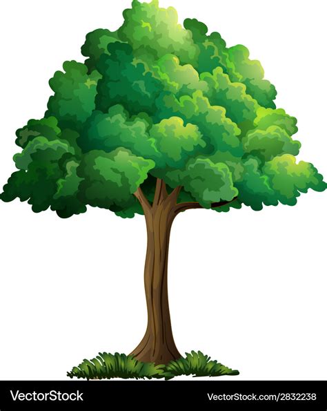 Tree Vector Illustration