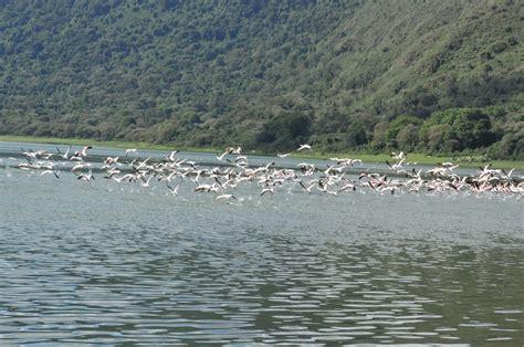 Empakai Crater Ngorongoro Conservation Area Authority Ncaa