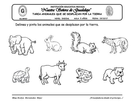 Animales Tierra Tarea By Evelynabejitas Issuu