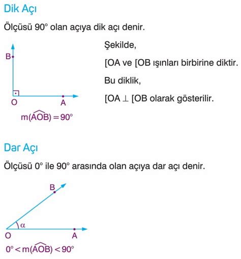 A E Itleri Konu Anlat M Sorular Z Mleri S N F