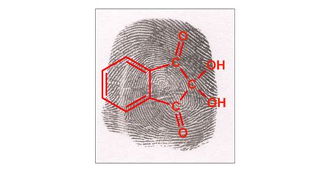 Forensic Chemistry The Revelation Of Latent Fingerprints Journal Of