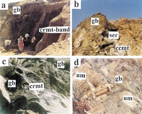 Field Photographs Of Breccia Zone Nuasahi Ultramafic Mafic Complex