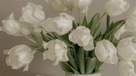 A White Vase Filled With Lots Of White Tulips On Top Of A Table