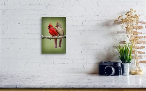 Mr And Mrs Northern Cardinal Canvas Print Canvas Art By Bonnie