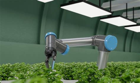 Efficient Automatic Irrigation Dubai | Expert Watering Solutions