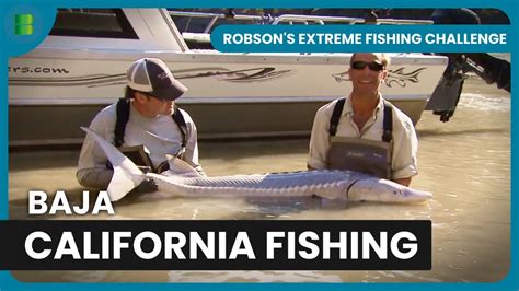 Cabo San Lucas Fishing Frenzy Robson S Extreme Fishing Challenge