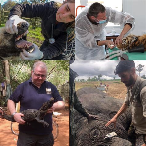 Our vision is a world where... - Wildlife Vets International | Facebook