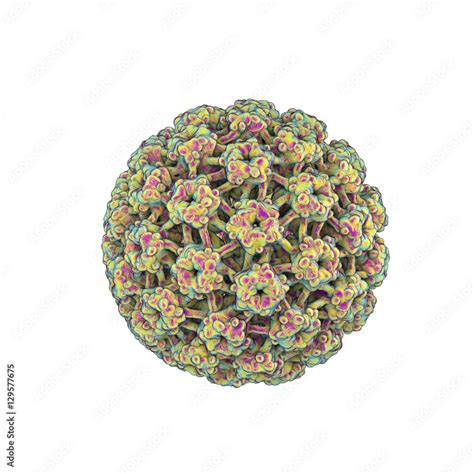 Human papillomavirus isolated on white background, a virus which causes