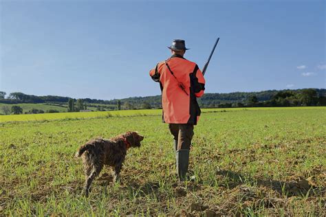 Des Pistes Pour Réduire Les Accidents De Chasse Lhumanité