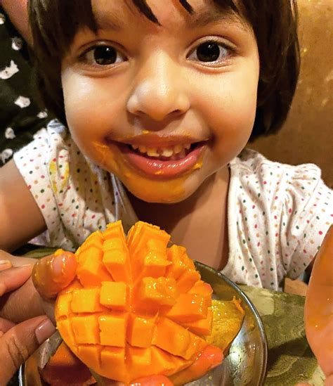 What are Alphonso Mangoes and Why They are so Expensive