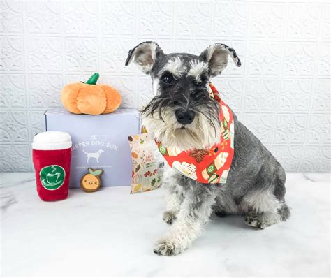 The Dapper Dog Box October 2018 Subscription Box Review + Coupon ...