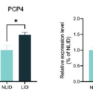 Dual-luciferase reporter assay and target genes expression. (A ... 