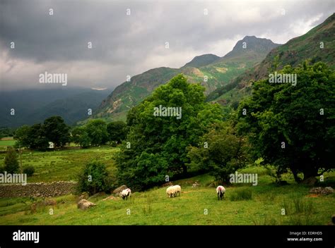 Great Langdale valley Cumbria Stock Photo - Alamy