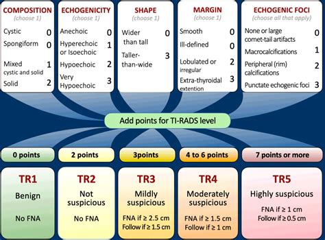 The Radiology Assistant TI RADS Thyroid Imaging Reporting And Data