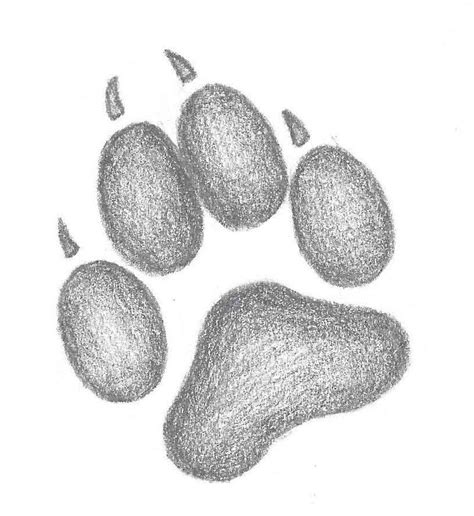 Wolf Paws Drawing - Drawing.rjuuc.edu.np