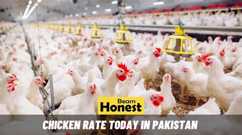 Chicken Rate Today In Pakistan Lahore Rawalpindi Karachi