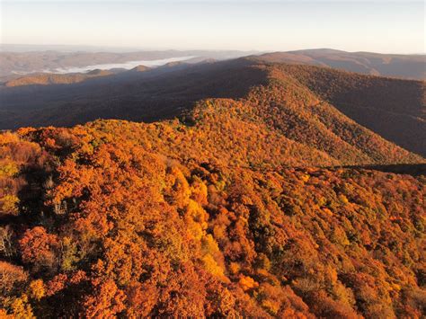 Fall color is peaking in the mountains and expanding across D.C. area ...