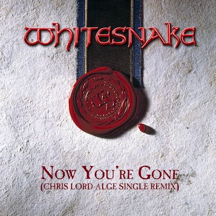 Whitesnake Now You Re Gone Chris Lord Alge Single Remix Fool For