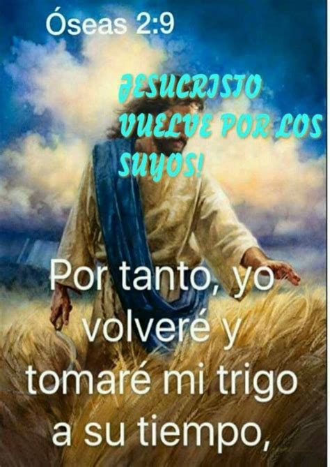 Pin De Sandra Santiago En Cristo Viene Palabras De La Biblia Textos