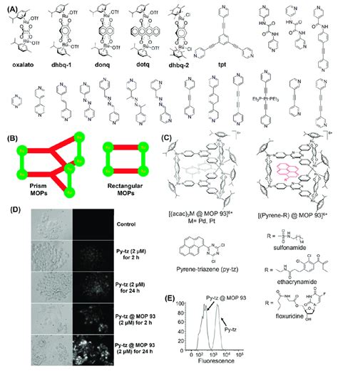 A Diruthenium Molecular Spacers Oxalato Dhbq Donq Dotq Dhbq