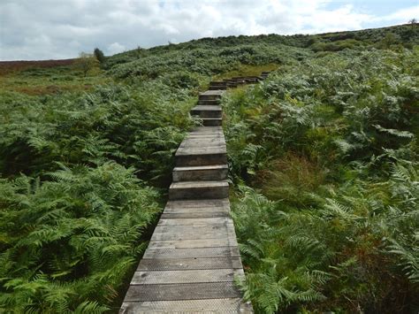 Boardwalk On The Nature Trail © Lairich Rig Cc By Sa 2 0 Geograph Britain And Ireland