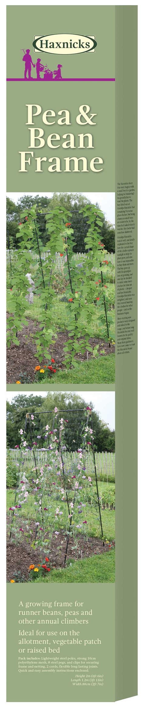 Steel Pea And Bean Frames Plant Support Haxnicks