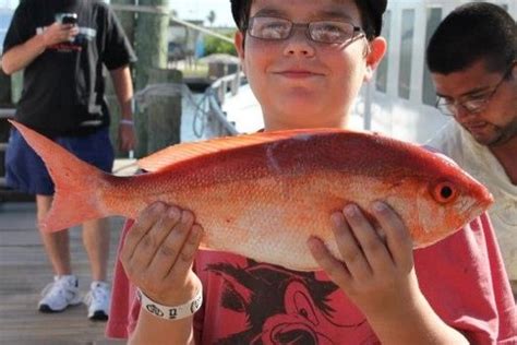 Red Snapper Vs Vermilion Snapper