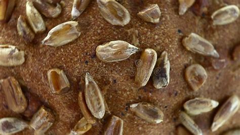 Bread With Sunflower Seeds Rotates Counterclockwise Turning Top View