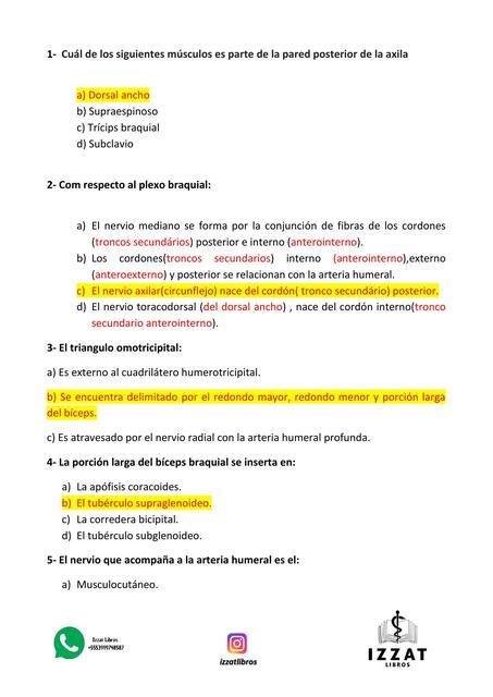 Preguntero Anatom A Gracilene Miranda Udocz