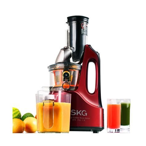 1110 SKG Anti Oxidation Slow Masticating Juicer 2088 TV Home