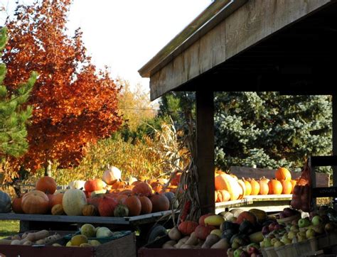 Vermont Fall Festivals