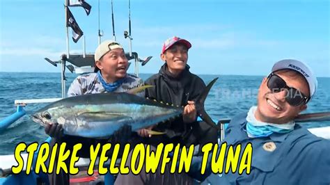 Battle Fishing Tuna Di Perairan Banyuwangi MANCING MANIA STRIKE BACK