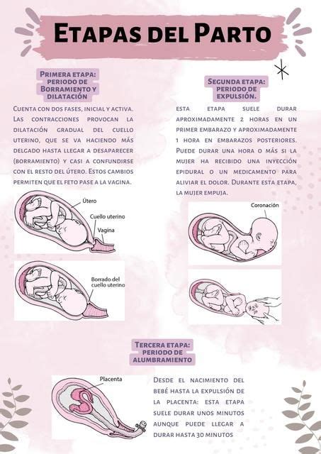 Etapas Del Parto Maryi Alvarado Udocz Obstetricia Y Puericultura