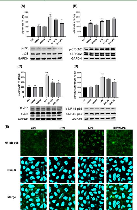 Figure From Egg White Protein Ovotransferrin Derived Irw Ile Arg Trp