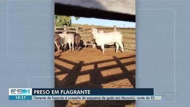 Boa Noite Espírito Santo Gerente de fazenda é preso em flagrante