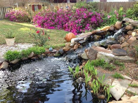 How To Create A Water Garden