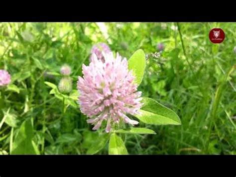 Керемет жай мезгили 👍👍👍👍👍👍 - YouTube