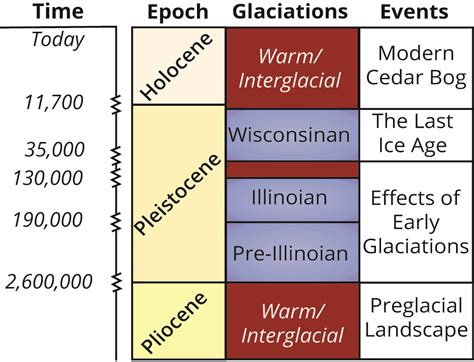 Pliocene Epoch Timeline