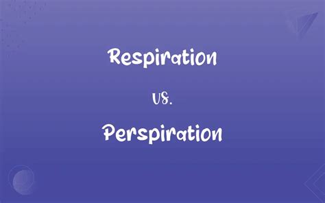 Respiration vs. Perspiration: What’s the Difference?