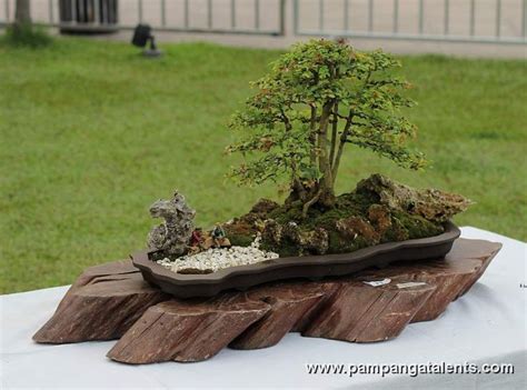 Penjing Landscape Bonsai Ideas