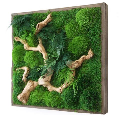 Artisan Moss Preserved Moss Art Custom Designed Moss Walls Moss