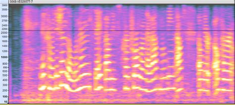 Ingenid What Is A Voiceprint