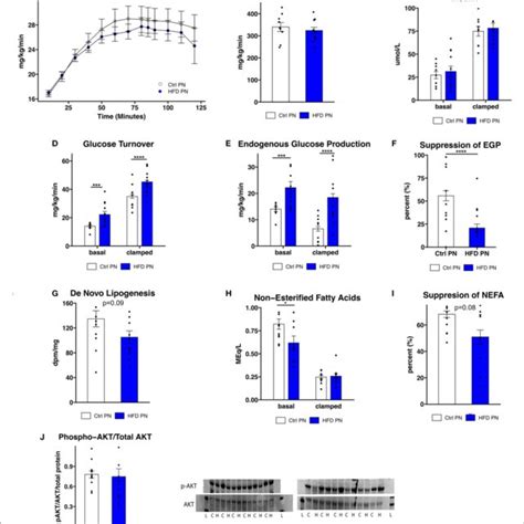 Insulin Sensitivity And Glucose Production Three Month Old Male Mice Download Scientific