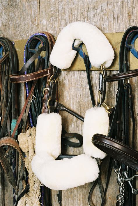 Halter Set Covers Engel Sheepskin Horse Tack